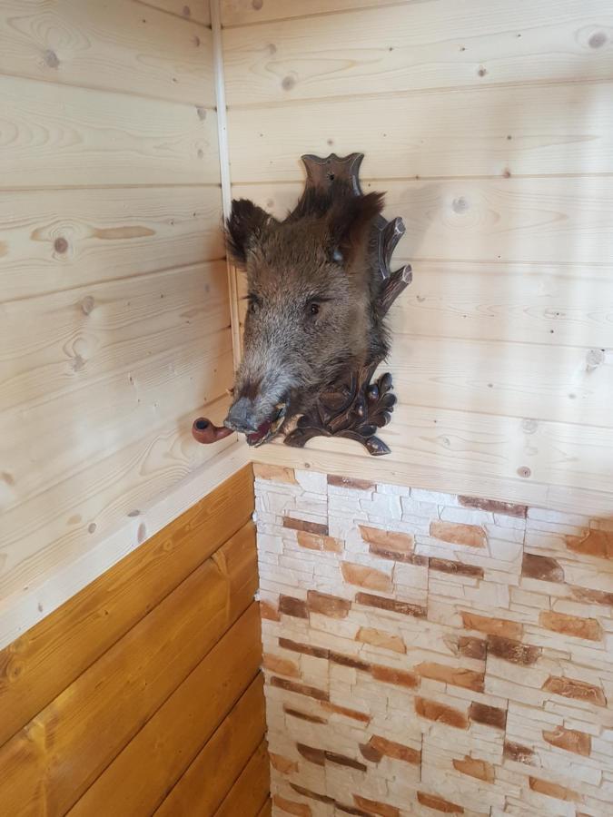 Willa Gniewnik Pcim Zewnętrze zdjęcie